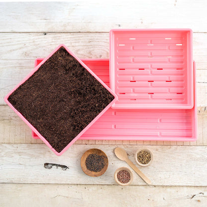 1010 Microgreens Kit - Tampa Home & Garden Store