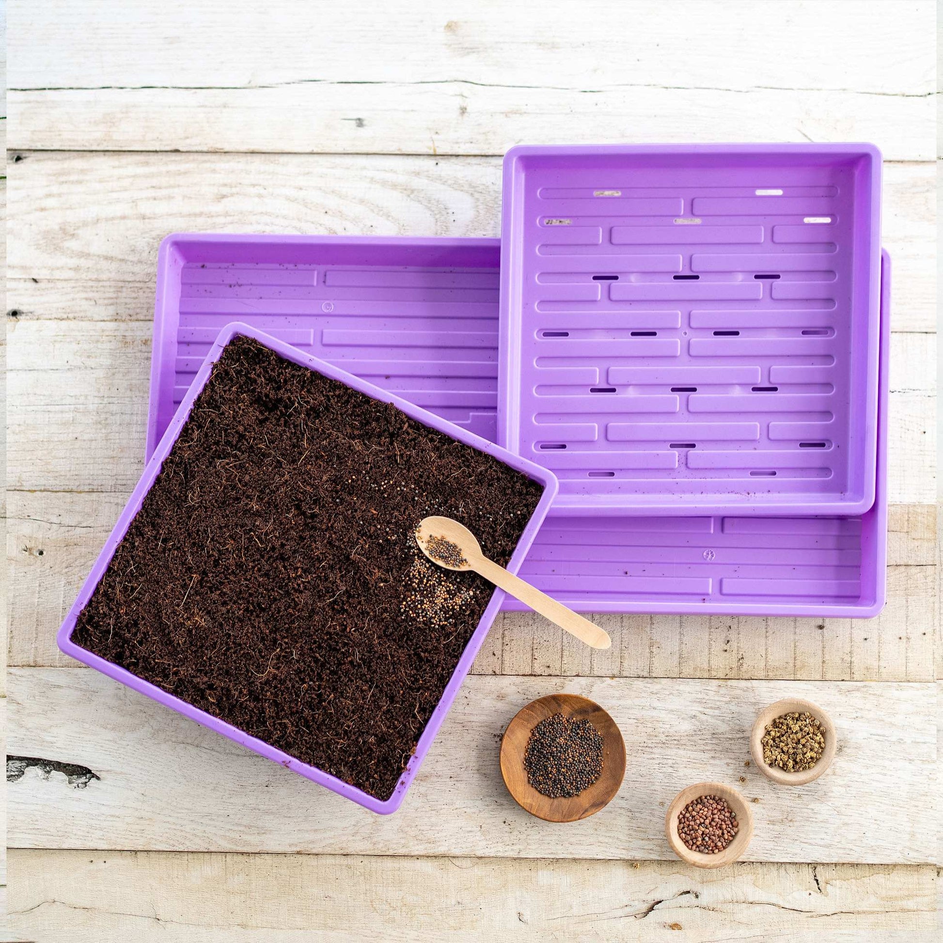 1010 Microgreens Kit - Tampa Home & Garden Store