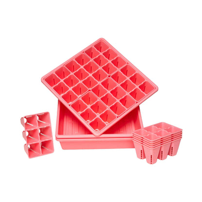 1010 Seed Starter Kit for Backyard Gardeners - Tampa soil911.com