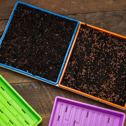 1010 Shallow Seed Trays - Tampa Home & Garden Store