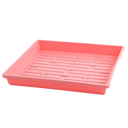 1010 Shallow Seed Trays - Tampa Home & Garden Store