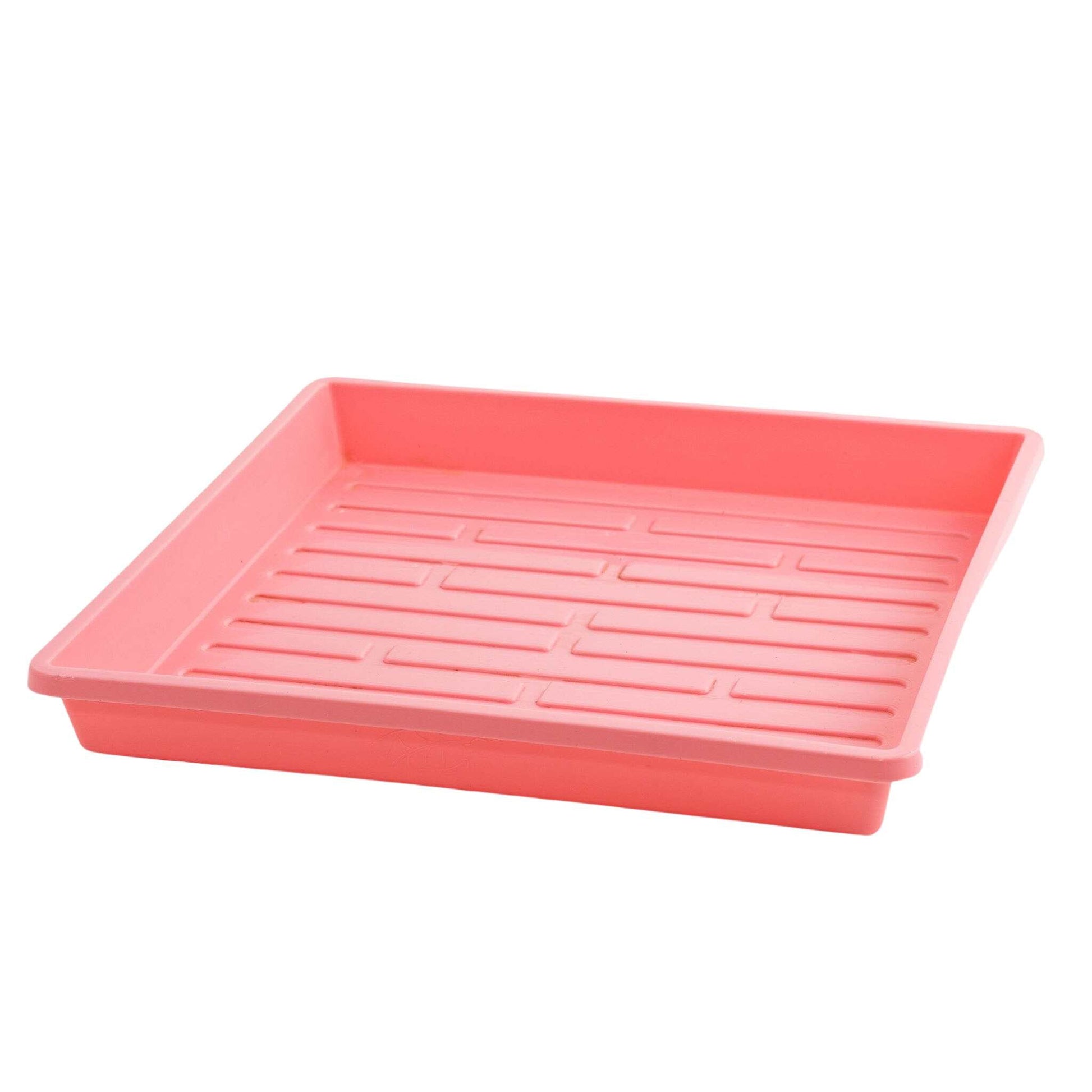1010 Shallow Seed Trays - Tampa Home & Garden Store
