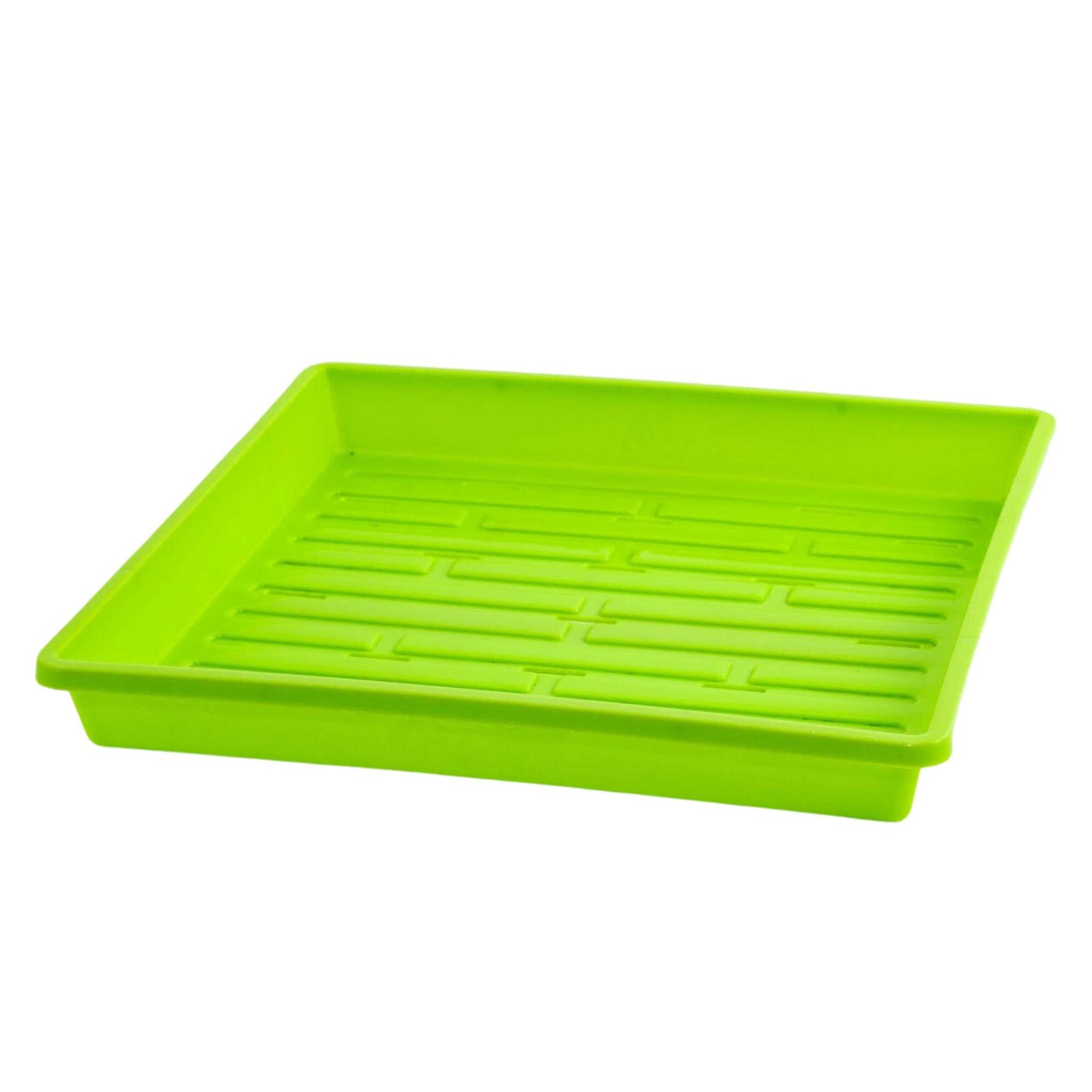 1010 Shallow Seed Trays - Tampa Home & Garden Store