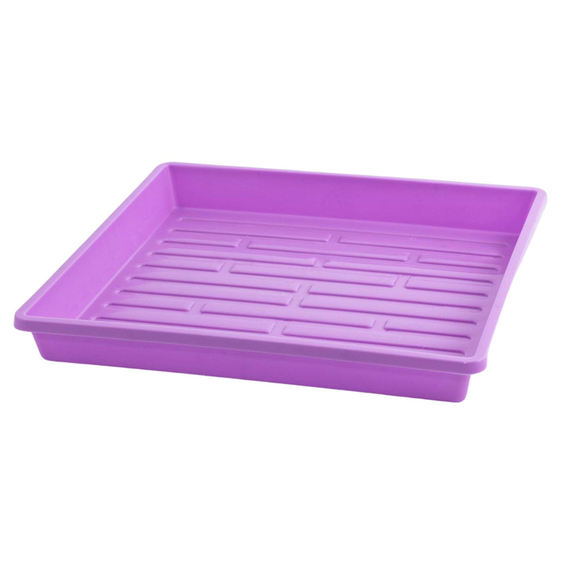1010 Shallow Seed Trays - Tampa Home & Garden Store