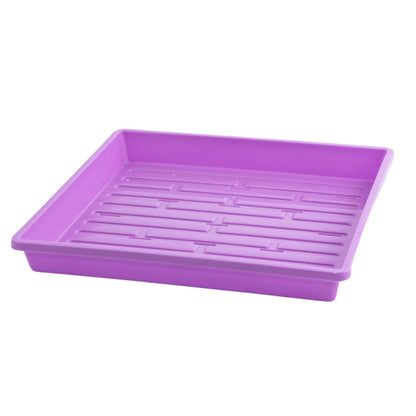 1010 Shallow Seed Trays - Tampa Home & Garden Store