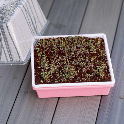 1010 Trays 2.5" Deep Trays - Extra Strength - Tampa Home & Garden Store