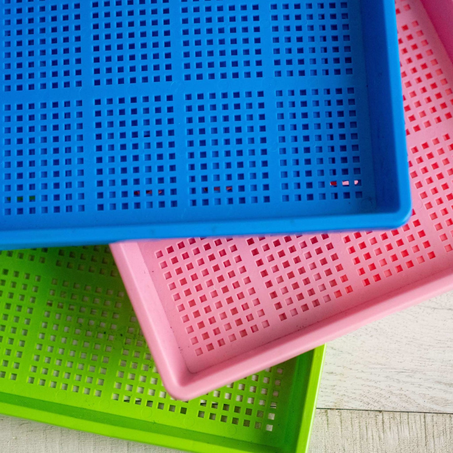 1020 Mesh Trays Shallow Extra Strength Colors -  1" Deep - Tampa Home & Garden Store