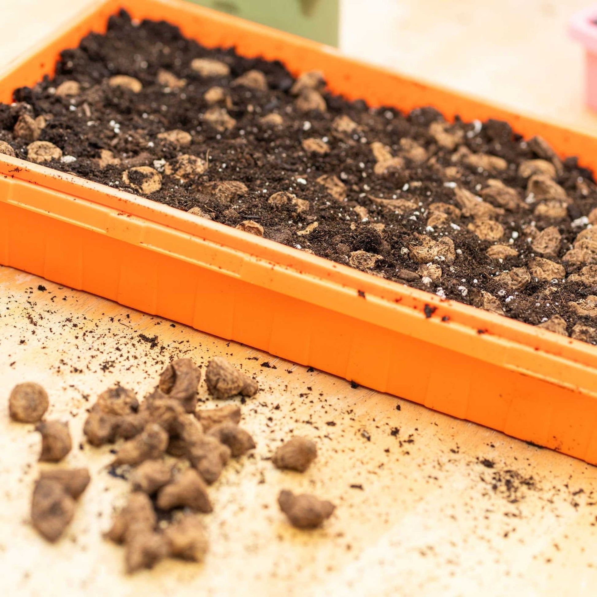 1020 Seed Starting Trays - Colored - Tampa Home & Garden Store