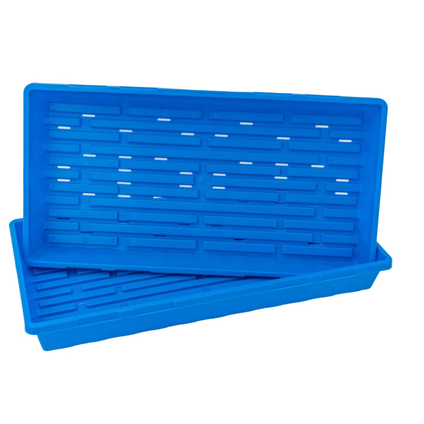 1020 Seed Starting Trays - Colored - Tampa Home & Garden Store
