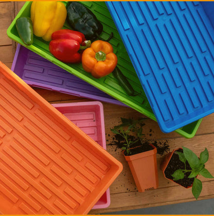1020 Seed Starting Trays - Colored - Tampa Home & Garden Store