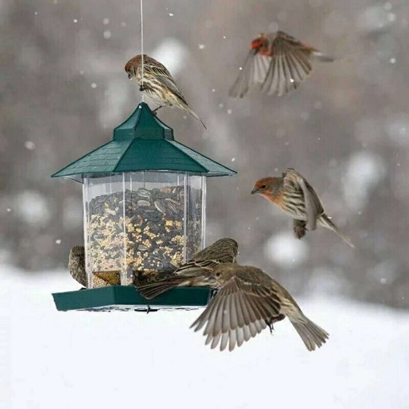 Outdoor Balcony Waterproof Hanging Bird Feeder, green; birds feeding in snow on Tampa Home & Garden Store