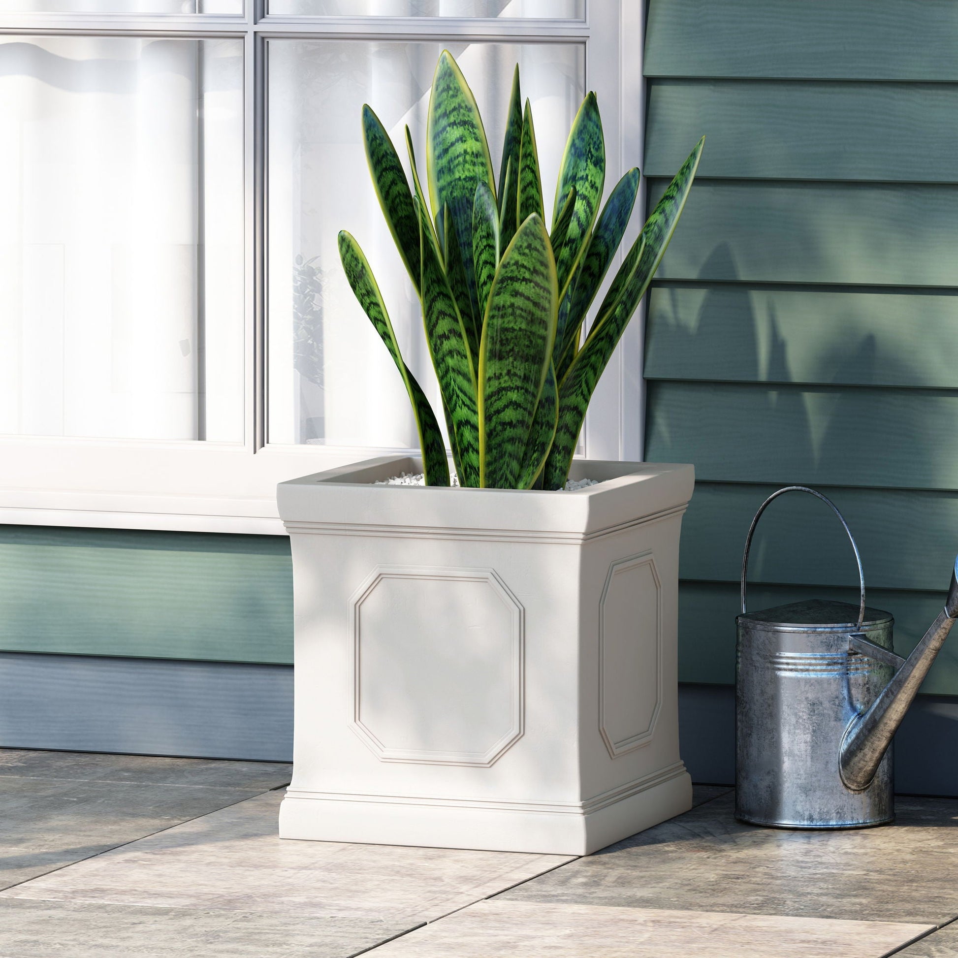 Durable Planter by HouseOfZazla white square planter with snake plant outdoors by window on Tampa Home & Garden Store