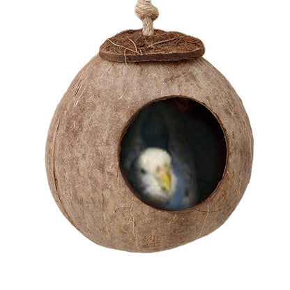 Natural coconut shell bird nest swing with round opening and hanging rope, bird visible inside on Tampa Home & Garden Store