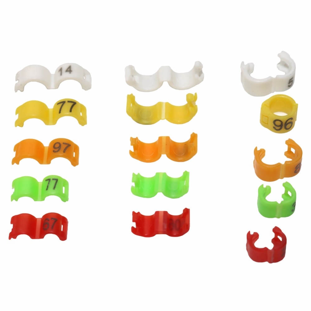 Bird foot ring split ring set in assorted colors from Sell My Stuff pet grooming supplies on Tampa Home & Garden Store