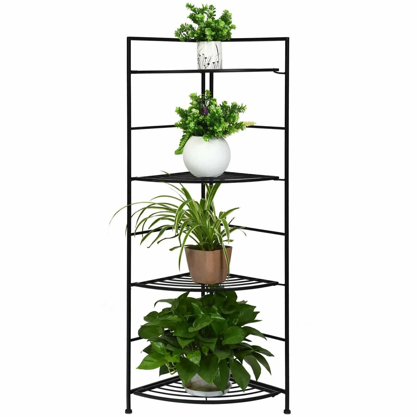 - image on Tampa Home & Garden Store