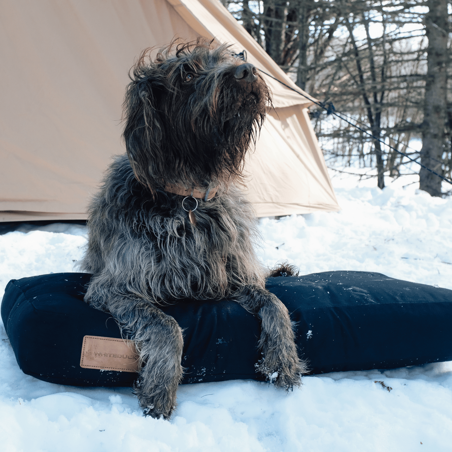 Dog Beds & Dog Bed Covers