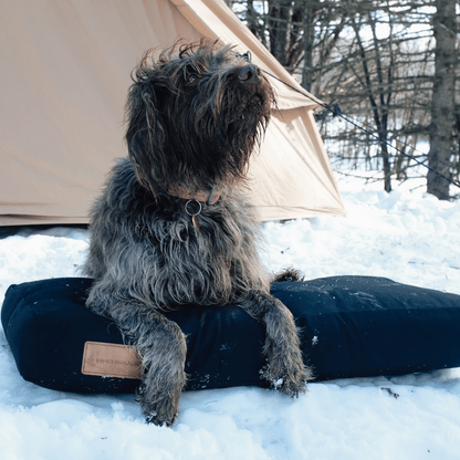 Dog Beds & Dog Bed Covers