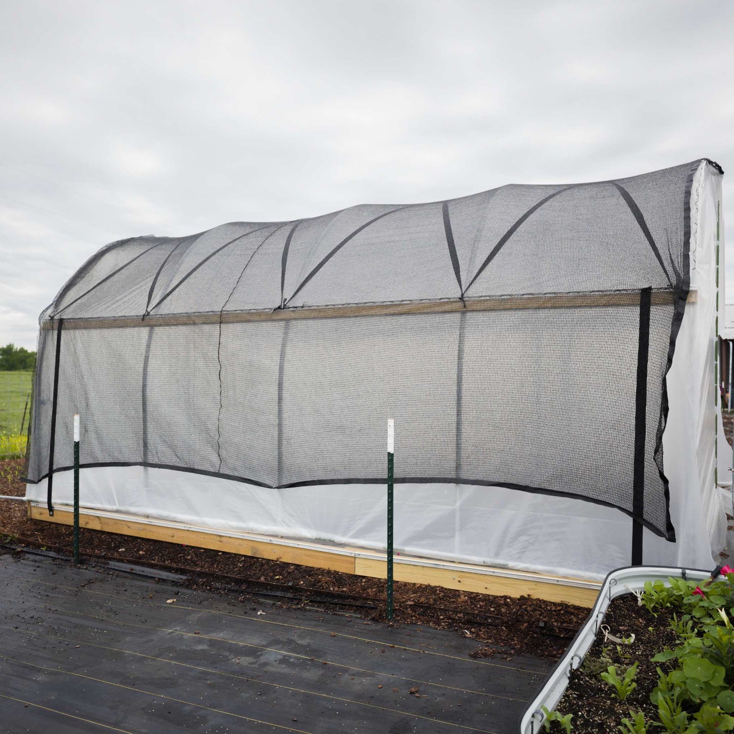 10' Essential High Tunnel Kit with roll-up sides and end-wall door on Tampa Home & Garden Store