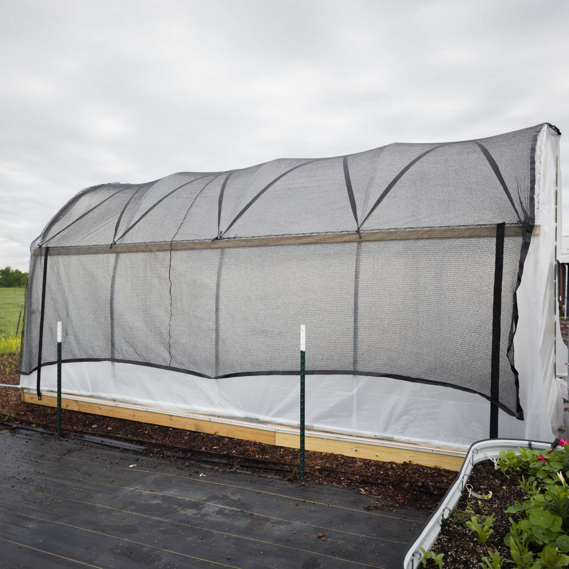 10' Essential High Tunnel Kit with roll-up sides and end-wall door on Tampa Home & Garden Store