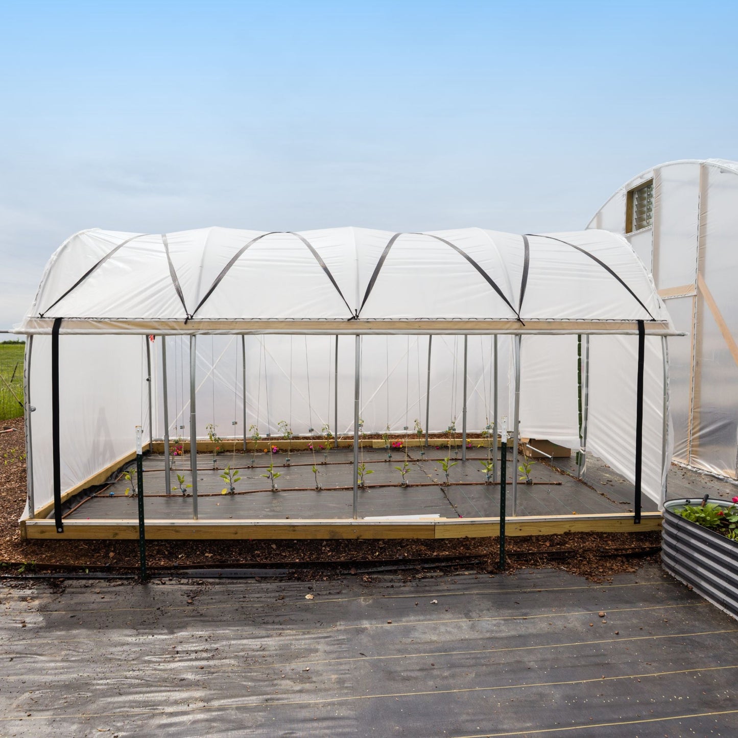 10' Essential High Tunnel Kit greenhouse with white fabric cover and roll-up sides on Tampa Home & Garden Store