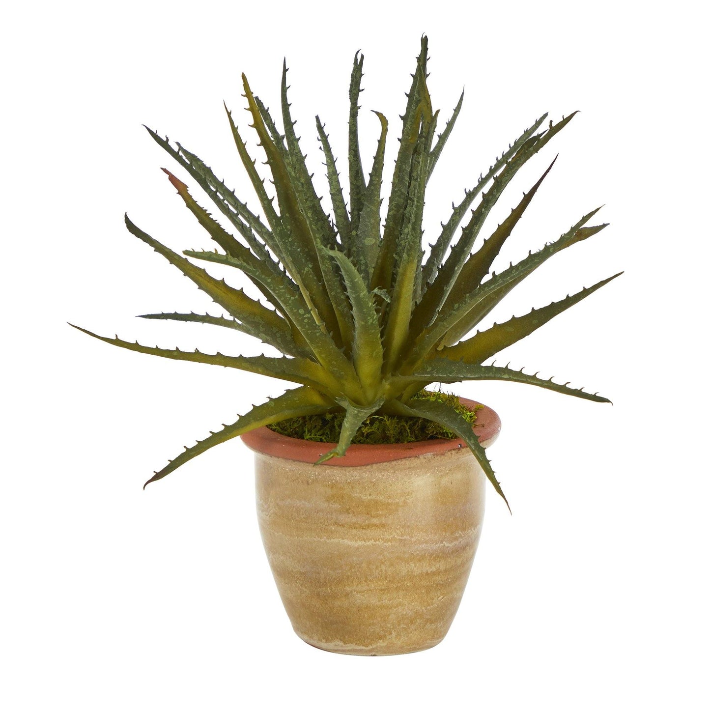 11” Aloe Artificial Plant in Ceramic Planter - Tampa Home & Garden Store