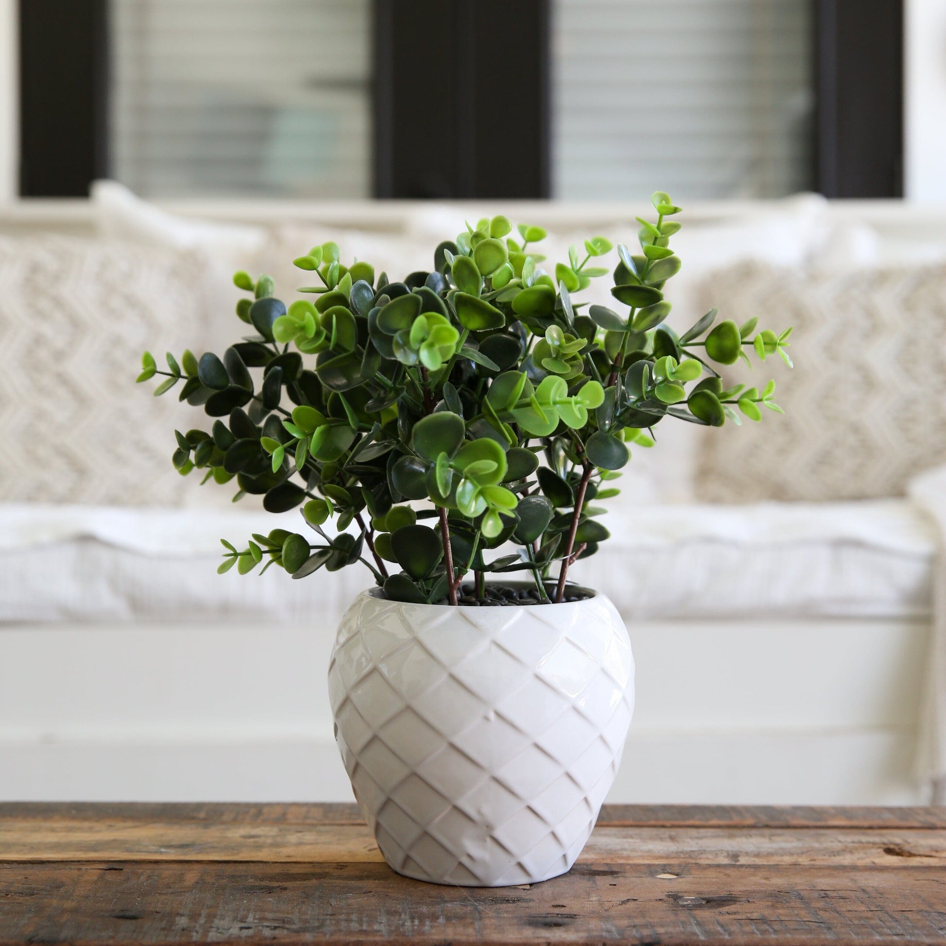 11” Artificial Boxwood Plant with Decorative Planter - Tampa Home & Garden Store