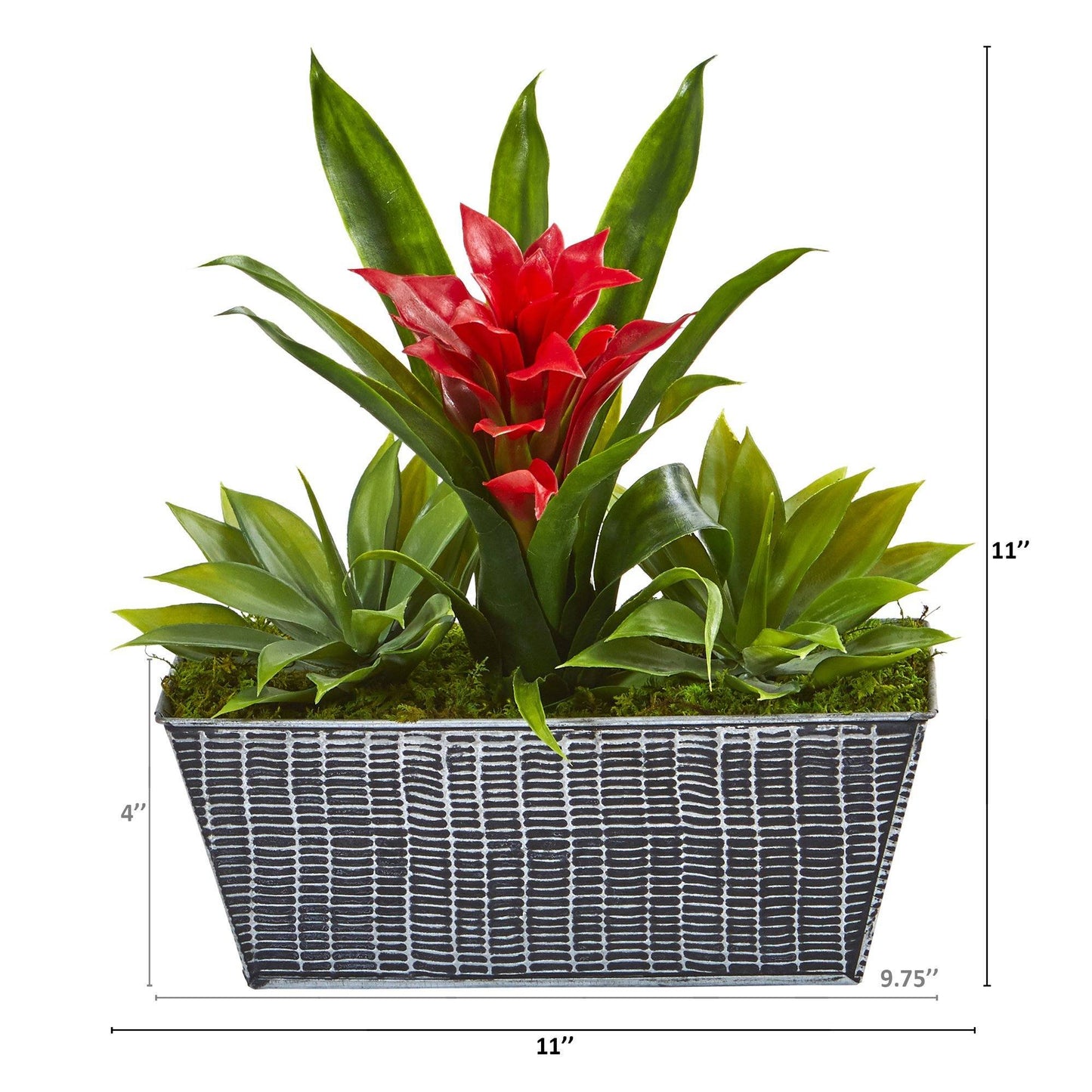 11” Bromeliad and Agave Plant in Black Tin Planter - Tampa Home & Garden Store