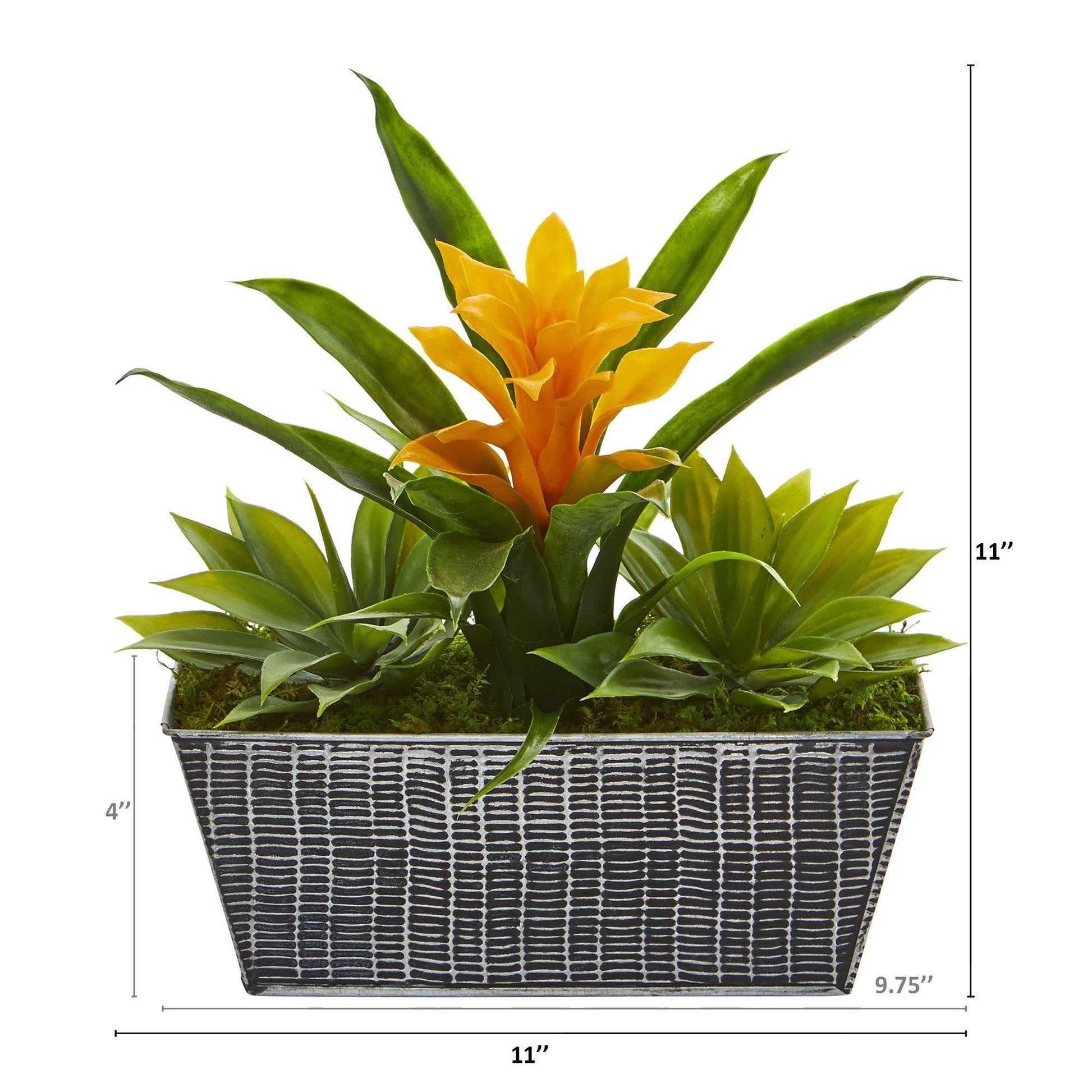 11” Bromeliad and Agave Plant in Black Tin Planter - Tampa Home & Garden Store