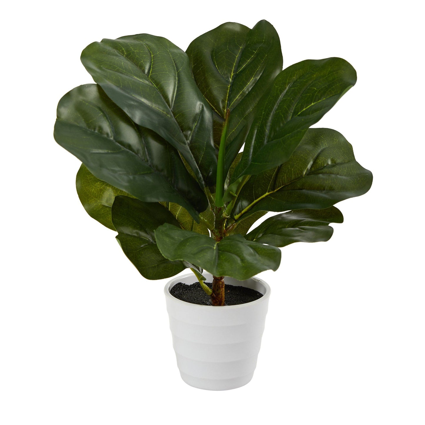 11” Fiddle Leaf Artificial Plant in White Planter (Real Touch) - Tampa Home & Garden Store