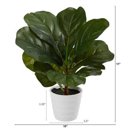 11” Fiddle Leaf Artificial Plant in White Planter (Real Touch) - Tampa Home & Garden Store