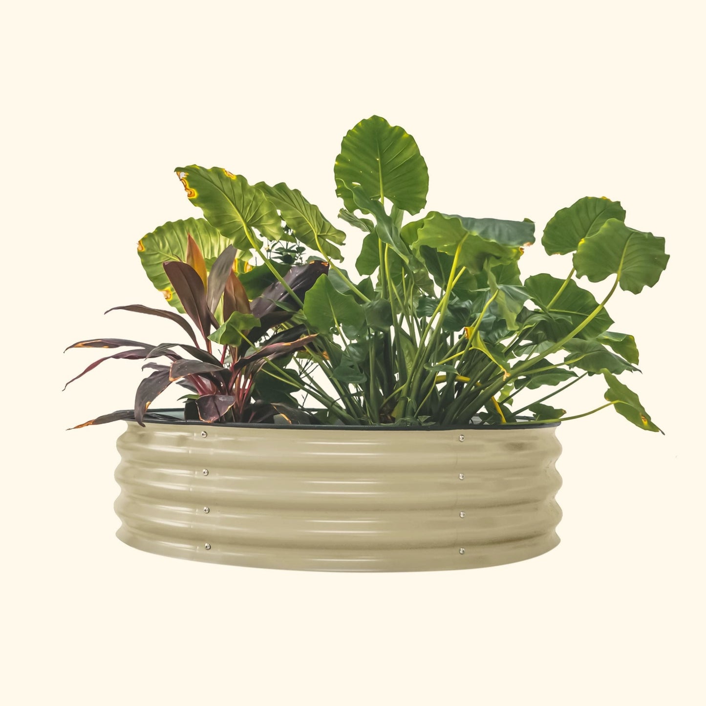 11" High 42" Round Raised Garden Bed Kit | Metal - Tampa soil911.com