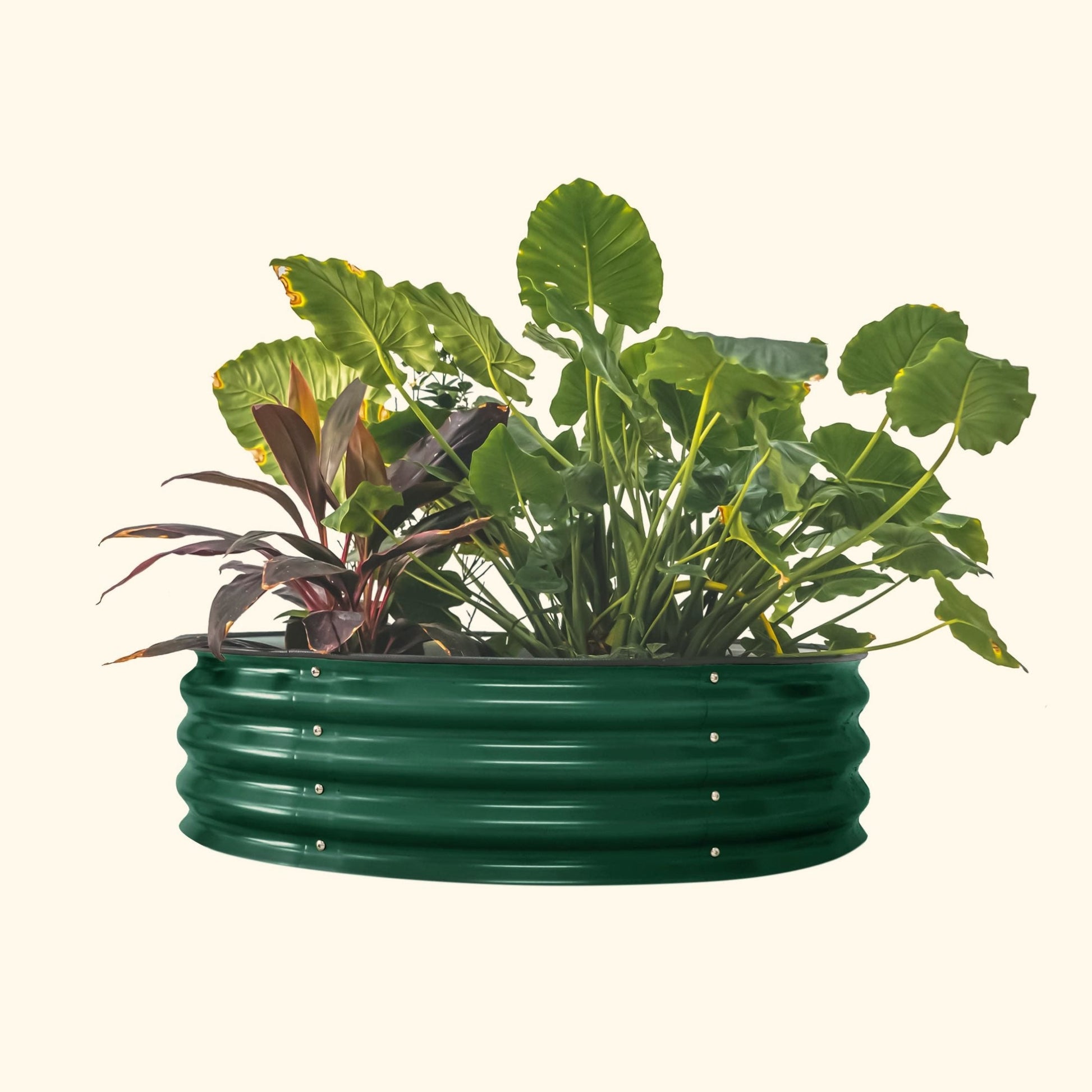 11" High 42" Round Raised Garden Bed Kit | Metal - Tampa soil911.com