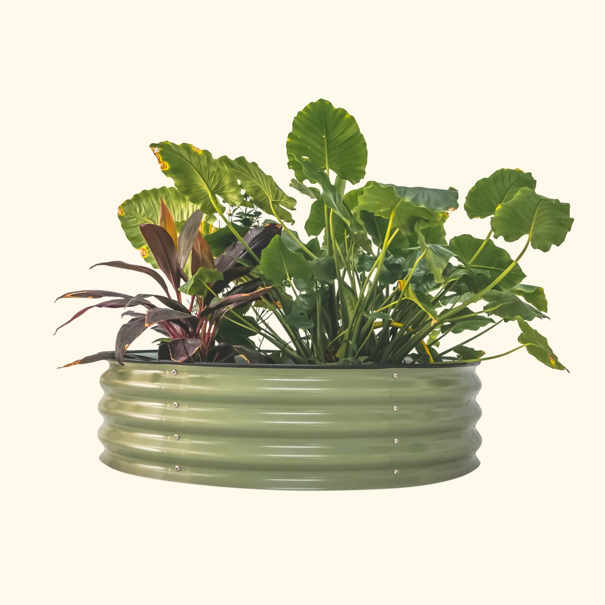 11" High 42" Round Raised Garden Bed Kit | Metal - Tampa soil911.com