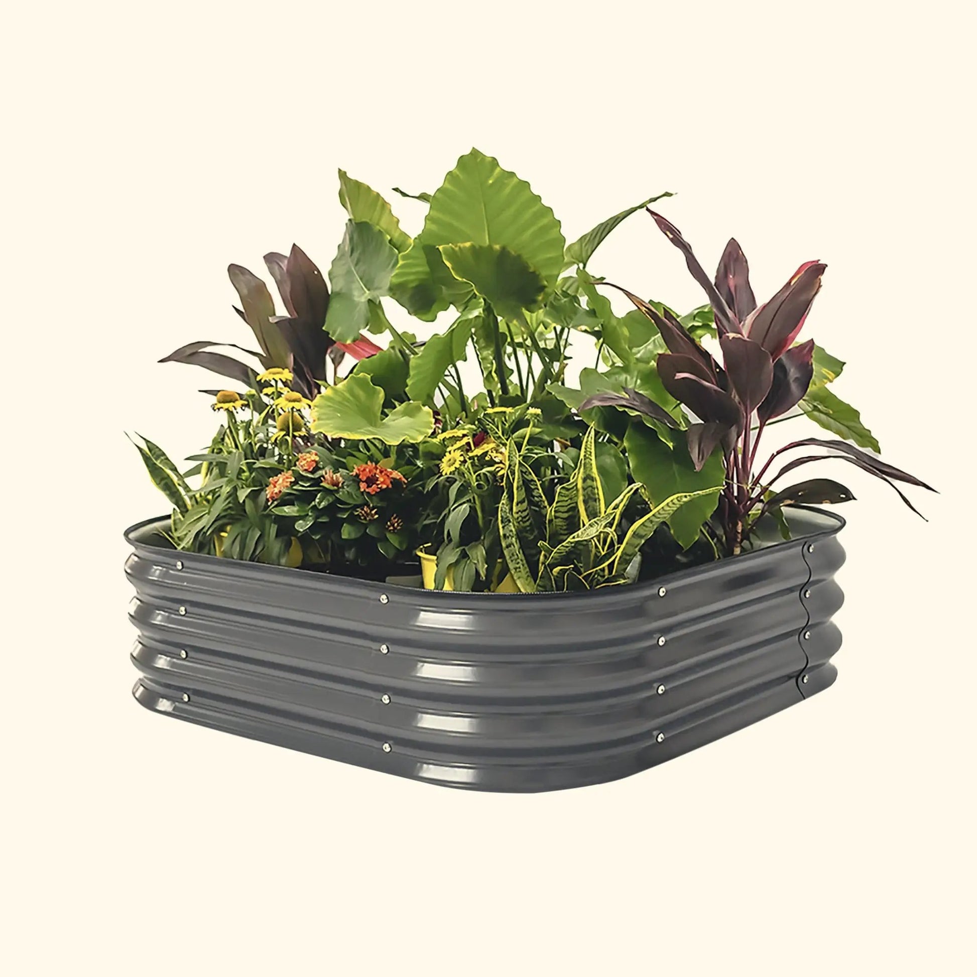 11" High Raised Garden Bed Small 4 in 1 Modular Metal - Tampa Home & Garden Store