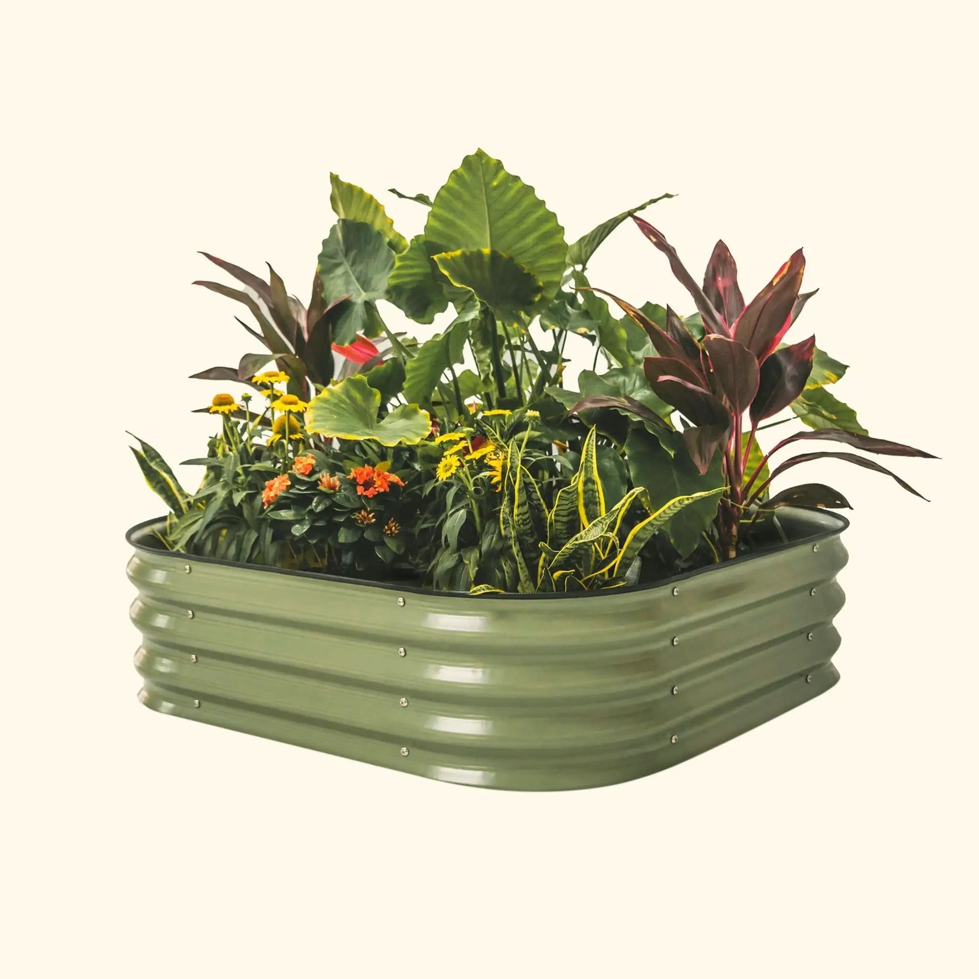 11" High Raised Garden Bed Small 4 in 1 Modular Metal - Tampa Home & Garden Store