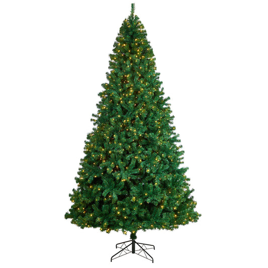11' Northern Tip Artificial Christmas Tree with 1000 Clear LED Lights and 2720 Bendable Branches - Tampa Home & Garden Store