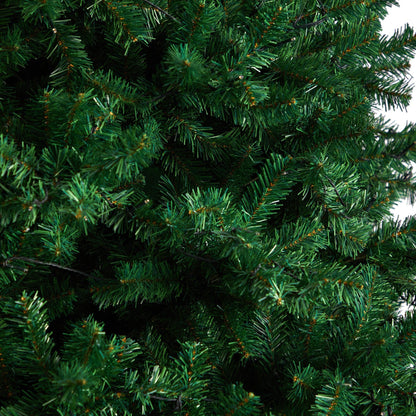 11' Northern Tip Artificial Christmas Tree with 1000 Clear LED Lights and 2720 Bendable Branches - Tampa Home & Garden Store