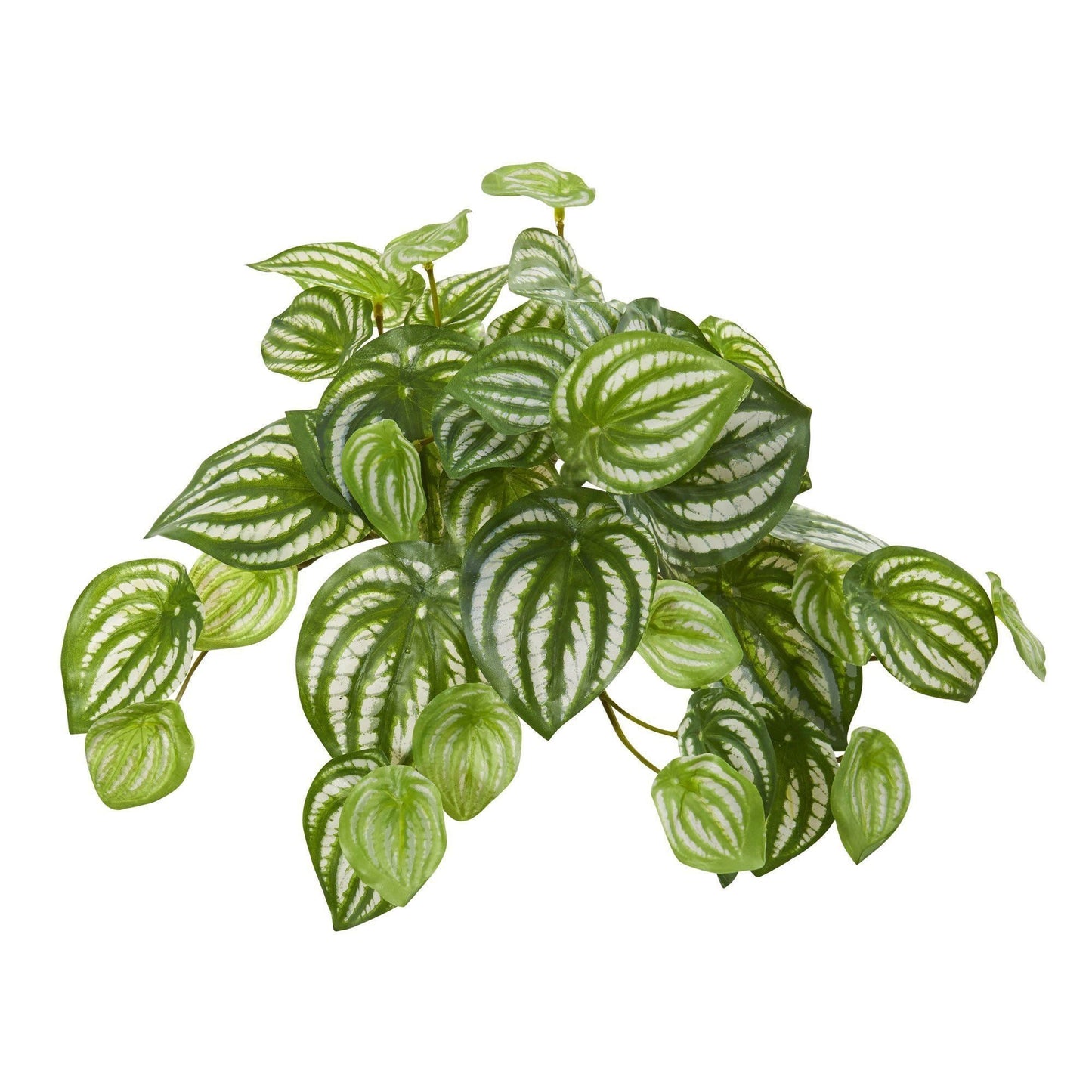 11” Watermelon Peperomia Hanging Artificial Bush Plant (Set of 12) (Real Touch) - Tampa Home & Garden Store