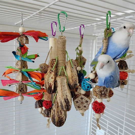 Parrot toys assortment with wood chews, rope shapes, colorful tassels, and clips; two blue birds on Tampa Home & Garden Store