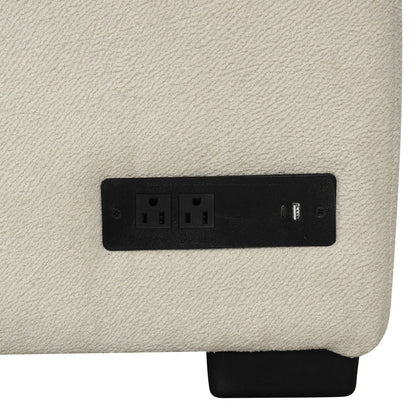 Black electrical outlet panel with two sockets and a USB port on beige carpet on Tampa Home & Garden Store