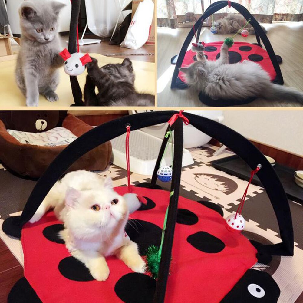 Cartoon Cat Play Tent with red ladybug mat, black arches, and hanging balls for kittens on Tampa Home & Garden Store