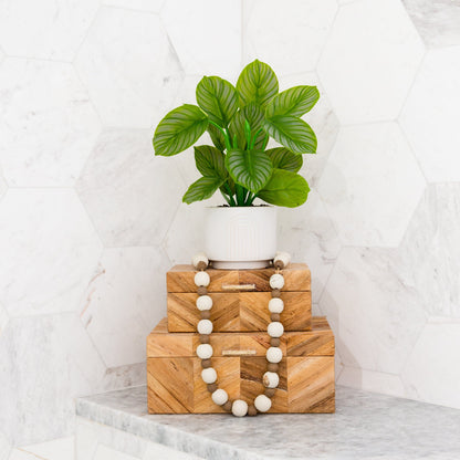 12" Artificial Calathea Plant with Decorative Planter - Tampa Home & Garden Store
