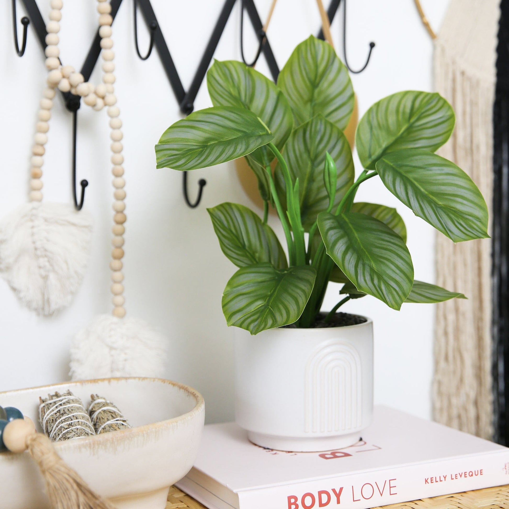 12" Artificial Calathea Plant with Decorative Planter - Tampa Home & Garden Store