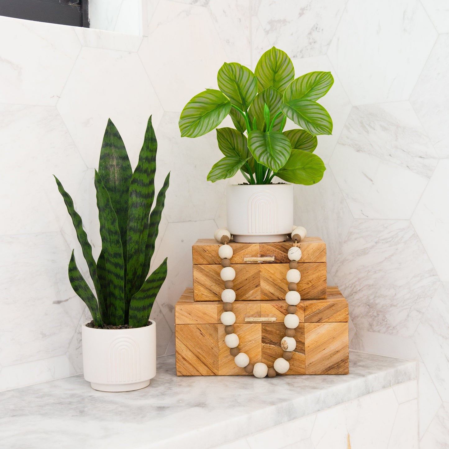 12" Artificial Calathea Plant with Decorative Planter - Tampa Home & Garden Store