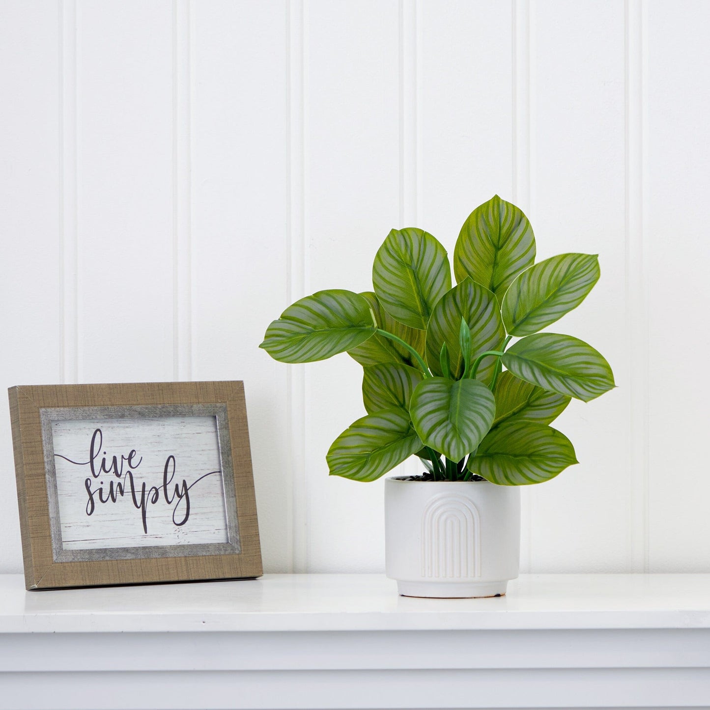 12" Artificial Calathea Plant with Decorative Planter - Tampa Home & Garden Store