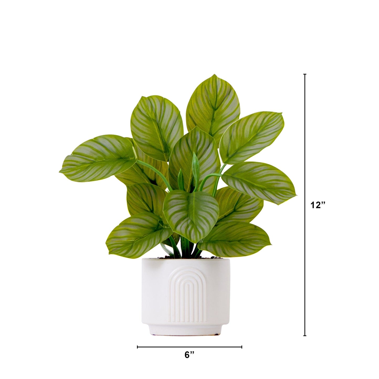 12" Artificial Calathea Plant with Decorative Planter - Tampa Home & Garden Store