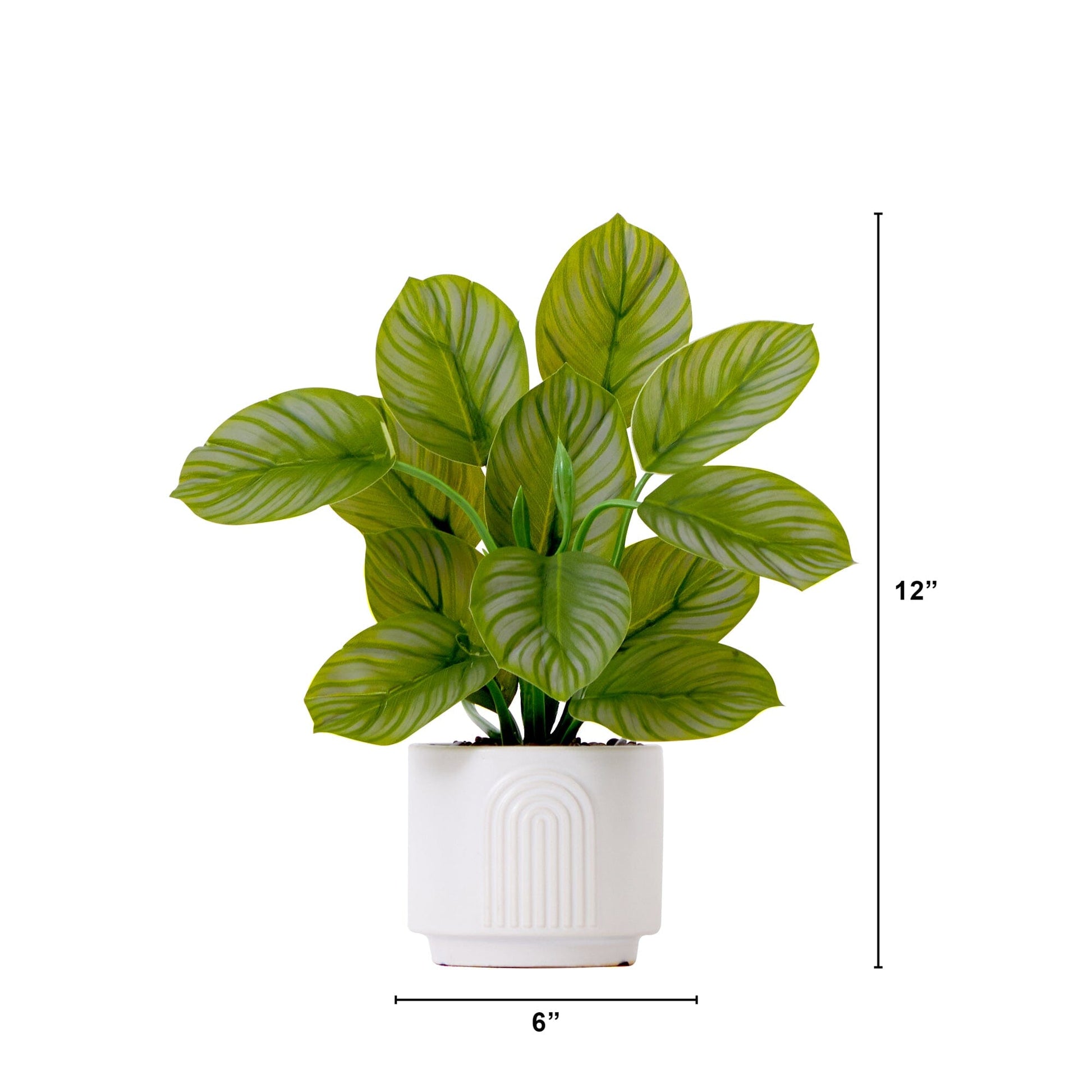 12" Artificial Calathea Plant with Decorative Planter - Tampa Home & Garden Store