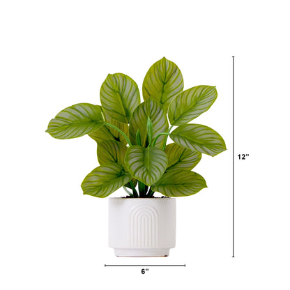 12" Artificial Calathea Plant with Decorative Planter - Tampa Home & Garden Store