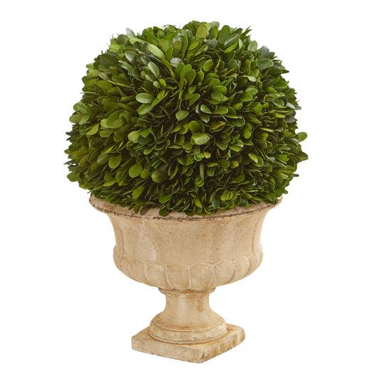 12” Boxwood Topiary Ball Preserved Plant in Decorative Urn - Tampa Home & Garden Store