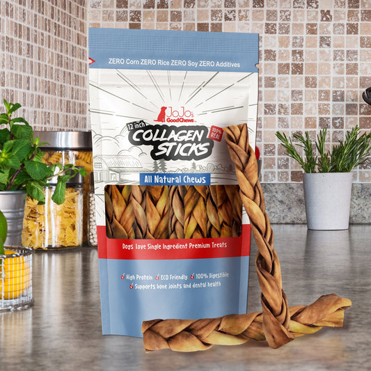 Braided Collagen Stick Dog Treats for Joint Health - 12-Inch Standard (4-Pack) - Tampa Home & Garden Store